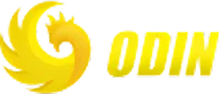 Logo ODIN